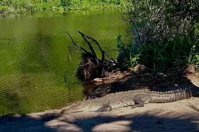 4-in-1 Tour - Mazunte, Cacao Factory & Turtle Spawn/Release - Final Thoughts