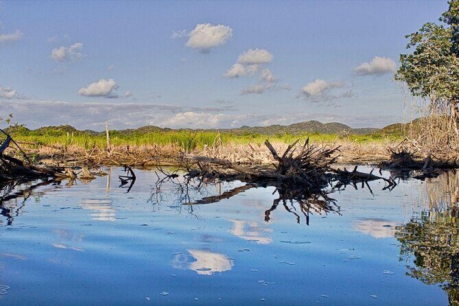 4-in-1 Tour - Mazunte,Cacao Factory, La Ventanilla & Turtle Spawn - Transportation, Group Size, and Value