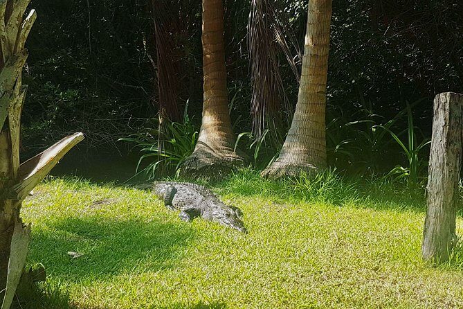 4-in-1 Tour - Mazunte,Cacao Factory, La Ventanilla & Turtle Spawn - Frequently Asked Questions