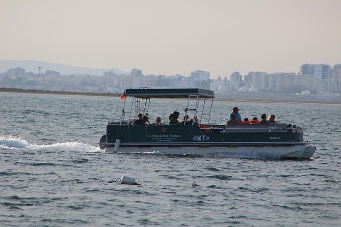 4 Stops | 3 Islands & Ria Formosa Natural Park - From Faro - The Overview: What This Tour Offers
