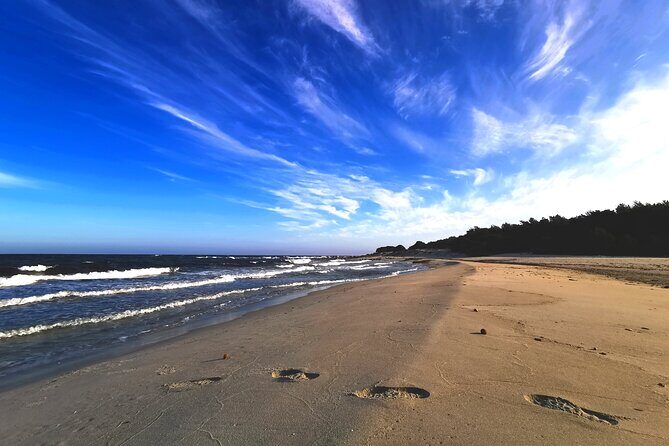 4 × 4 excursion to the beaches of Biderosa and Capo Comino - Who Is This Tour Best For?