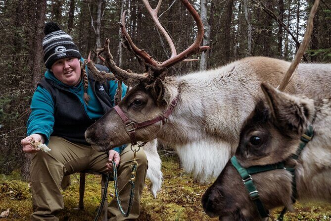 45 Minute Private Reindeer Tour - Key Points