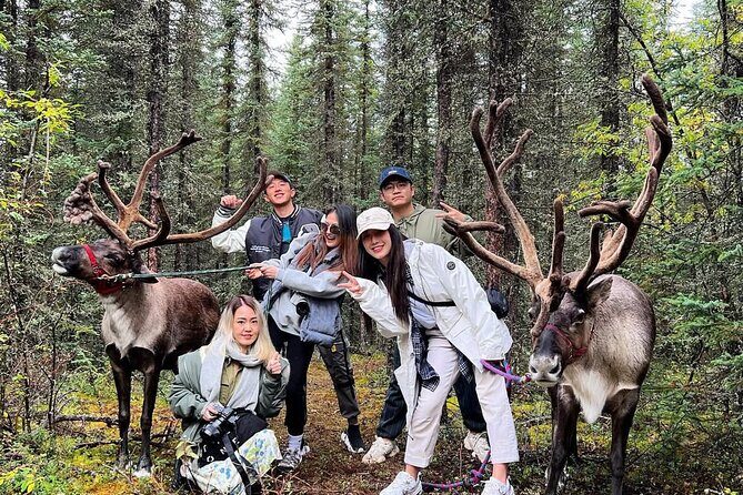45 Minute Private Reindeer Tour - The Experience’s Practical Details