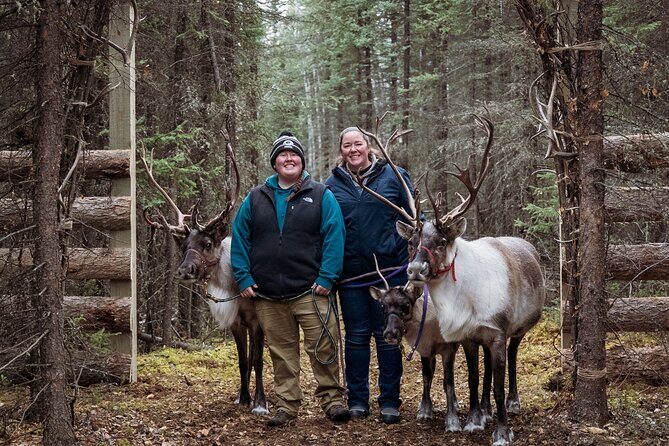 45 Minute Private Reindeer Tour - Authentic and Educational