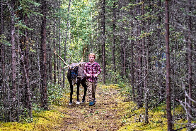 45 Minute Private Reindeer Tour - Who Should Consider This Tour?