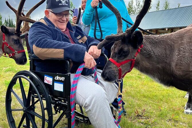 45 Minute Private Reindeer Tour - The Sum Up: Is the 45 Minute Private Reindeer Tour Right for You?
