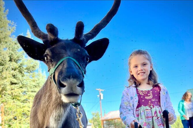 45 Minute Private Reindeer Tour - FAQs