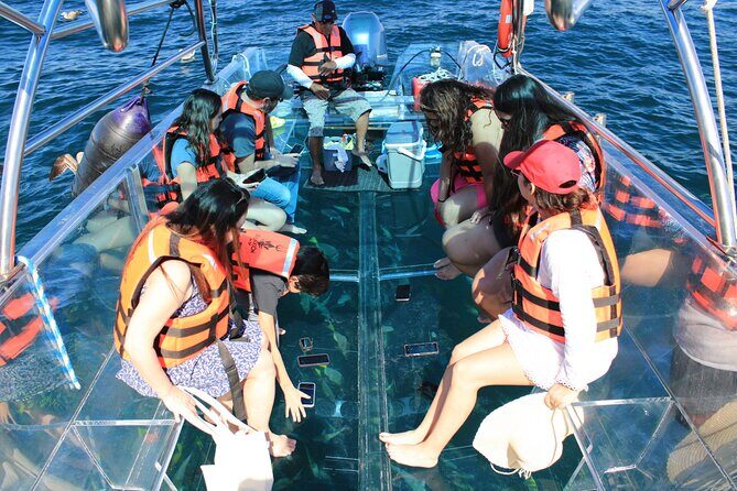 45 Minute Transparent Boat Ride to the Arch of Cabo San Lucas - Final Words