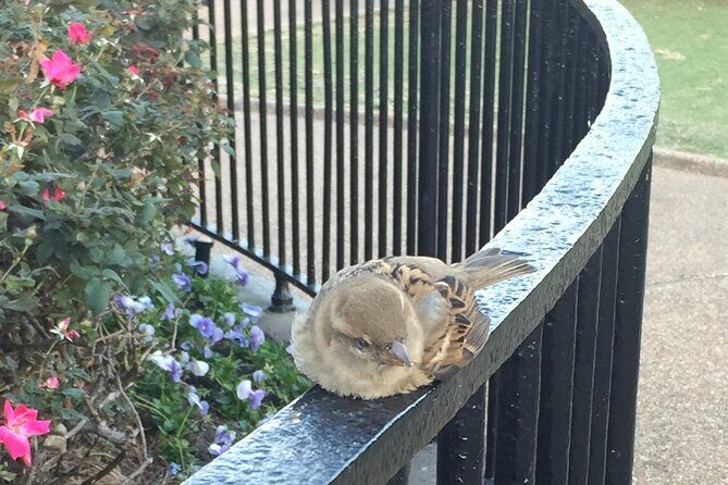 45 minutes in Jackson Square - Final Thoughts