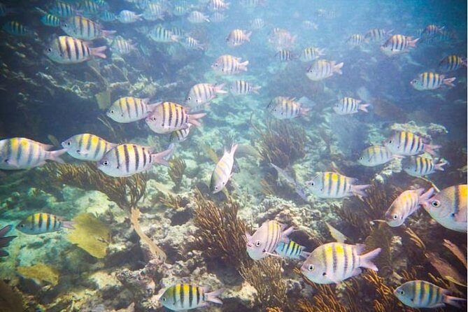 4H 42' Azimut Yacht All-Inclusive from Tulum & Playa del Carmen. - Final Thoughts