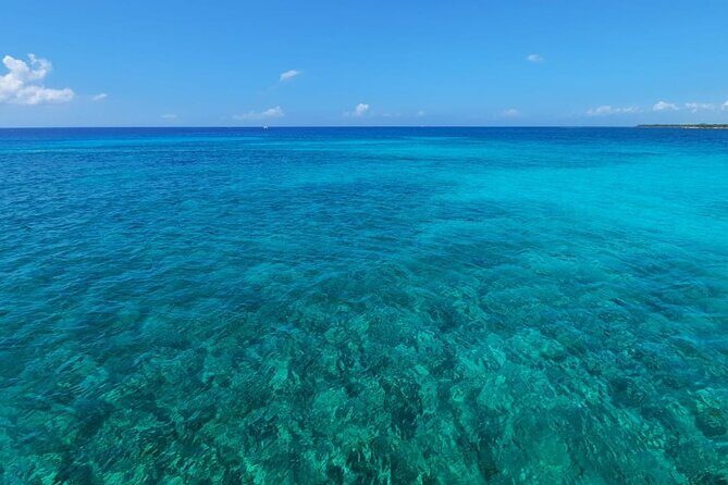 4H Luxury 44' Catamaran All-Inclusive in Tulum & Playa del Carmen - The Review Summaries: What Travelers Say