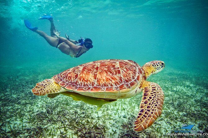 4H Private 38'Catamaran All-Inclusive in Tulum & Playa del Carmen - Who Is This Tour Best Suited For?