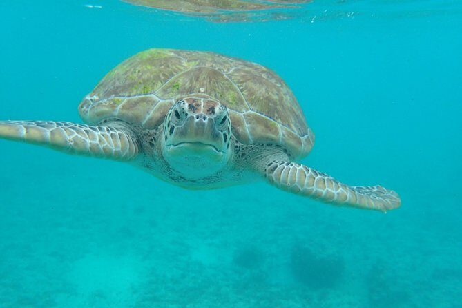 4H private 40' Yacht All-Inclusive in Tulum & Playa del Carmen - Final Thoughts: Is This Tour Right for You?