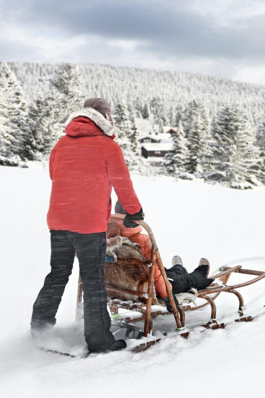 4hr Dog Sledding Trip on Finnmarksvidda - Discover the thrill of dog sledding on Finnmarksvidda with this detailed review
