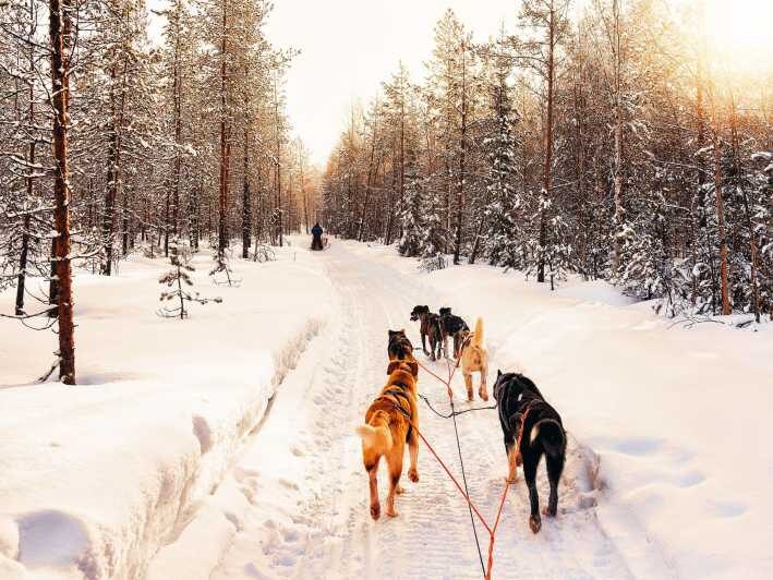 4hr Dog Sledding Trip on Finnmarksvidda - Who is this tour best for?