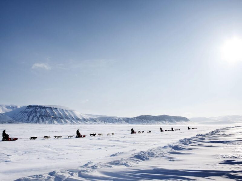 4hr Dog Sledding Trip on Finnmarksvidda - Final thoughts
