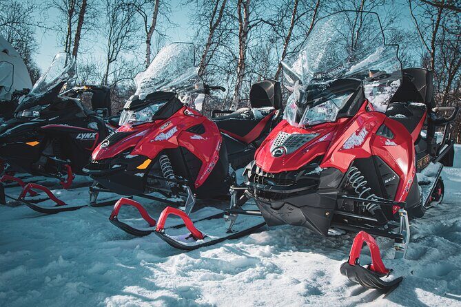 4hr Finnmarksvidda Snowmobile Adventure - Final Thoughts: Who Will Love This Tour?