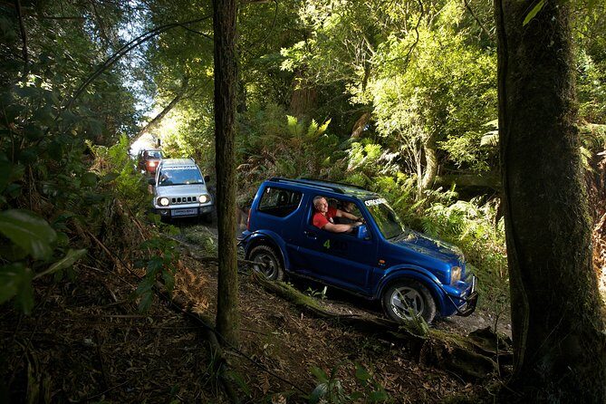 4WD Bush Safari at Off Road NZ - Key Points
