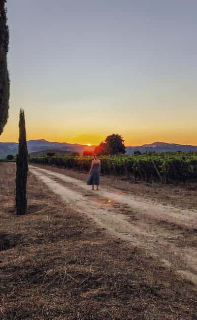 4x4 Adventure in the Secret Douro: Wines, Villages, and Flavors - What’s the Travel Experience Like?