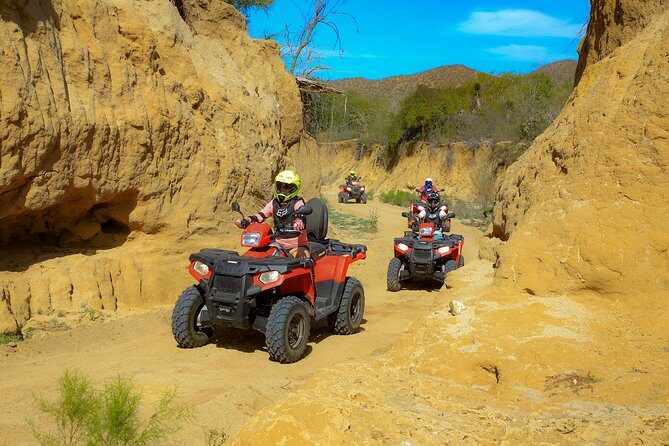 4x4 ATV Adventure with Tequila tasting and Mexican buffet lunch - Cost and Value: Is It Worth It?