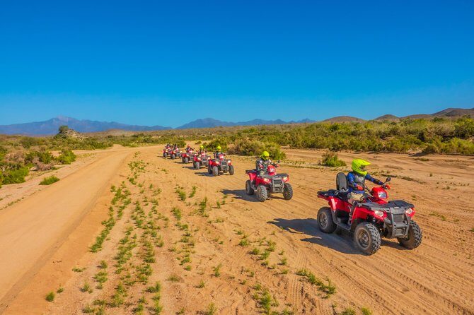 4x4 ATV Adventure with Tequila tasting and Mexican buffet lunch - Final Thoughts: Who Will Love This Tour?