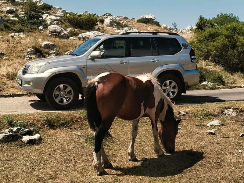 4x4 Biokovo Tour: Skywalk (1228m) & St. George (1762m) - FAQs