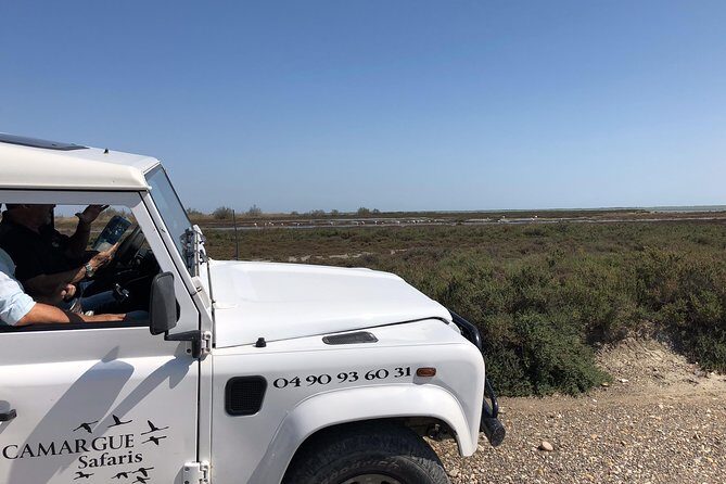4x4 Camargue Safari 4h - Private Tour - Departure from Arles - What to Expect During the Tour