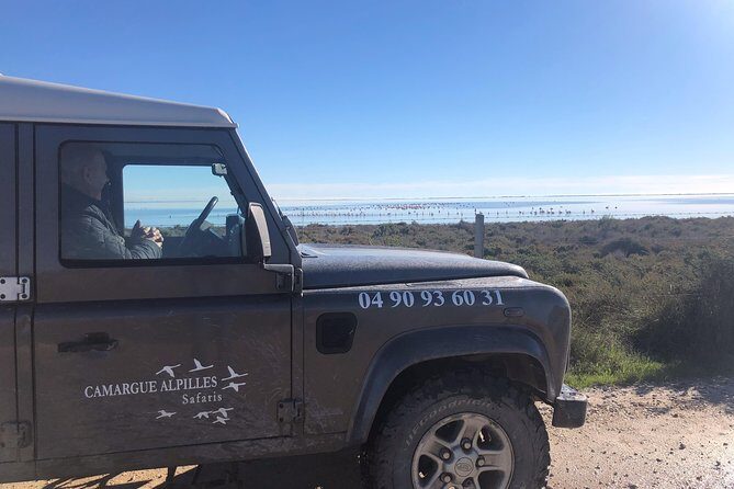 4x4 Camargue Safari 4h - Private Tour - Departure from Arles - Final Thoughts