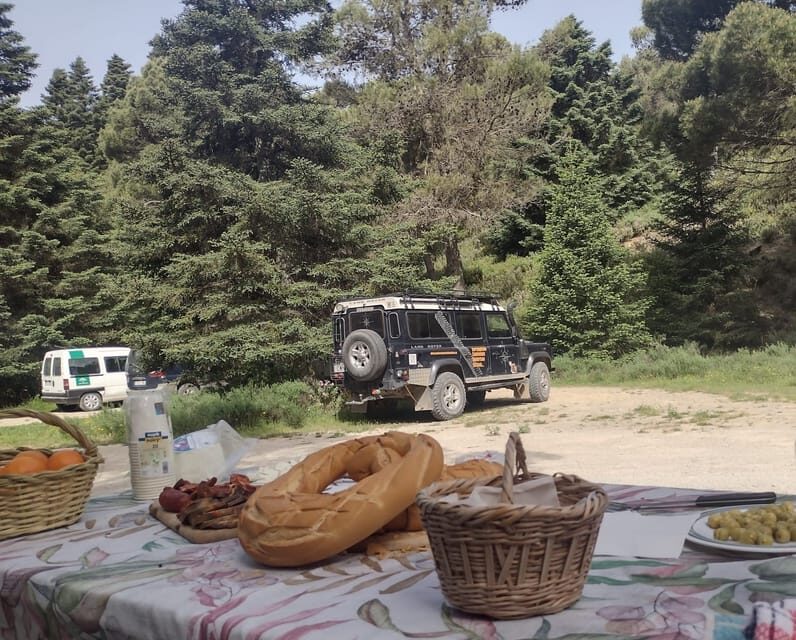 4x4 in the heart of the Sierra de las Nieves National Park - Who Should Consider This Tour