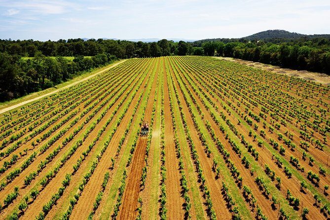 4x4 ride in a winery followed by a tasting - Who Would Love This Tour?