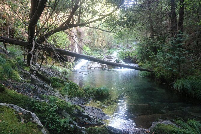 4X4 Tour - Discovering Serra d´ Arga - Visiting Villages and Cultural Sites