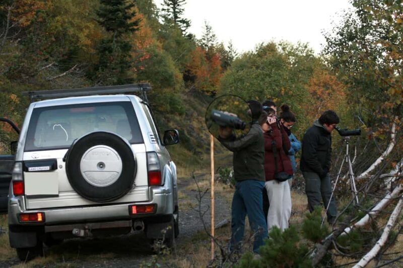 4×4 tour of the Aran Valley - Wildlife, flora and alpine landscapes - What Makes This Tour Stand Out?