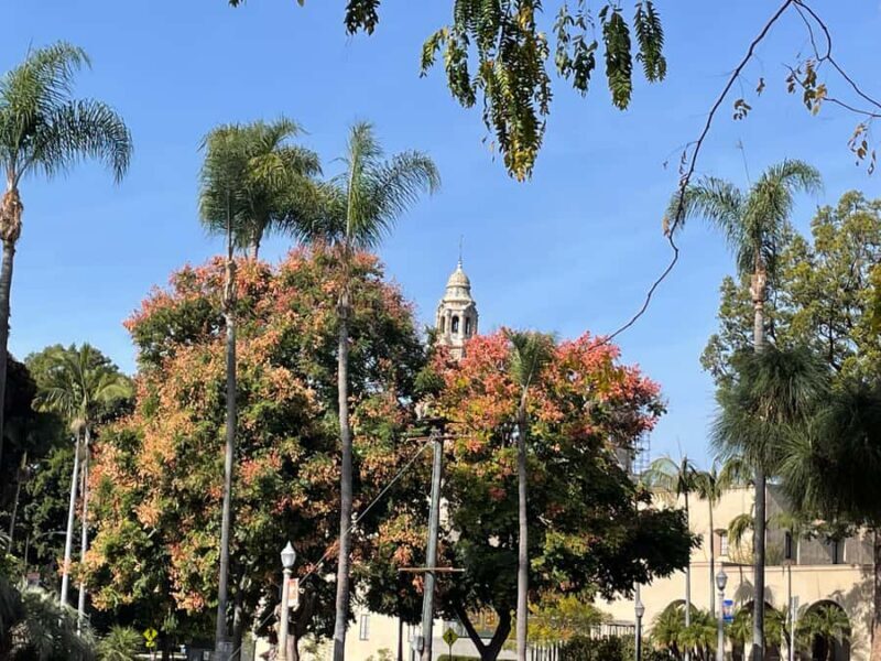 5 1/2 Hour Private Tour of San Diego in a Lexus ES300H - An In-Depth Look at What You Can Expect