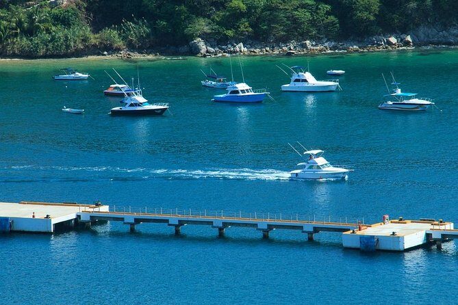 5-Bay Exclusive Premium Panga Experience - The Bottom Line: Is It Worth It?