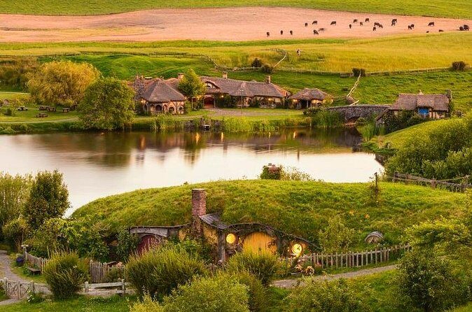 5-Day Bay of Islands Rotorua Waitomo Caves and Hobbiton Tour from Auckland - Who This Tour Is Best For