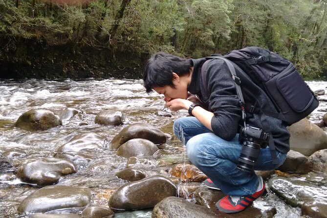 5-Day Best of Tasmania Tour from Hobart - The Itinerary: What to Expect Day by Day