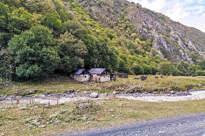 5-Day Horse Riding Tour in Caucasus - An in-depth look at the tour experience