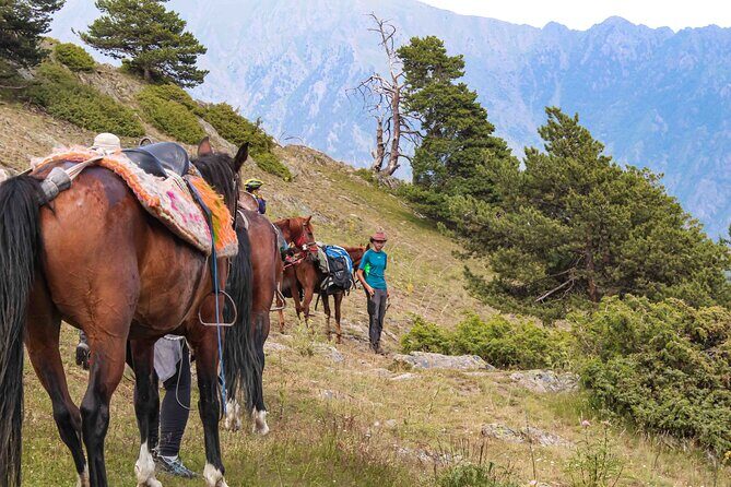 5-Day Horse Riding Tour in Caucasus - Who is this tour best for?