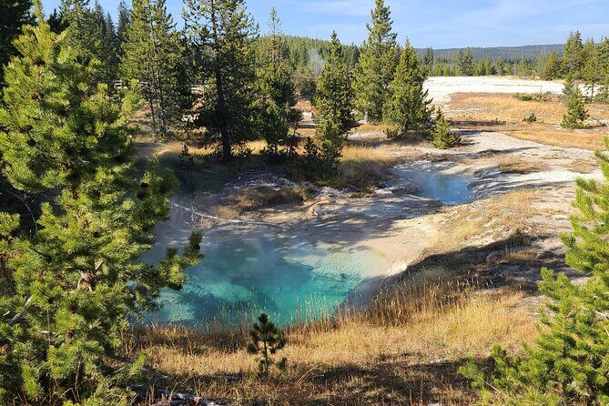 5-day In-Depth Yellowstone and Grand Teton National Park Tour - Frequently Asked Questions