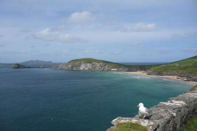 5-Day Northern Ireland and Atlantic Coast Small-Group Tour from Dublin - Who Should Consider This Tour?