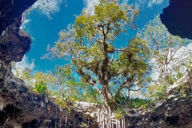 5-Day Riviera Maya and Yucatan Tour, Mexico - Wrapping Up