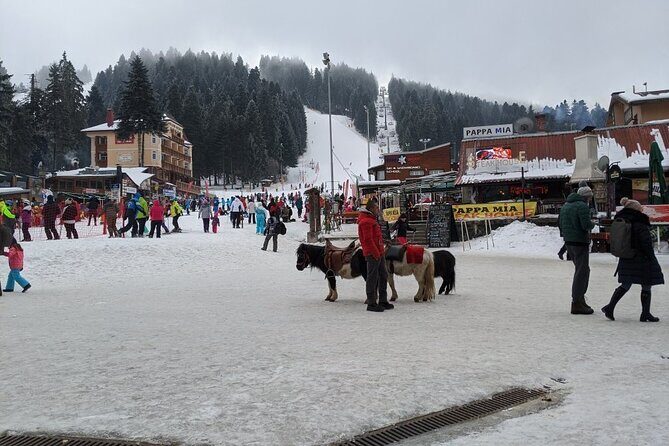 5-Day Ski Equipment Rental in Borovets - Who Would Benefit Most?