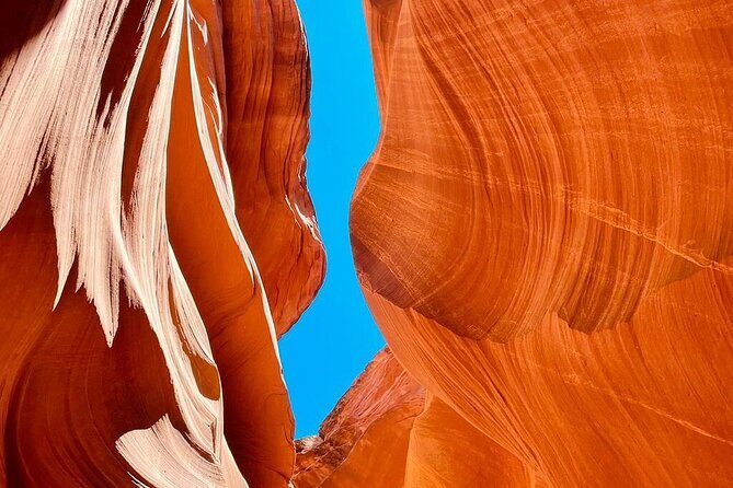 5 Day Tour L. Angeles Las Vegas Yellowstone & Grand Teton from LA - The Sum Up