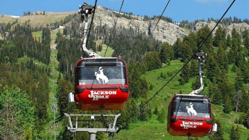 5-Day Tour: LA, Vegas, Antelope Canyon & National Parks - Transportation, Accommodation, and Overall Experience