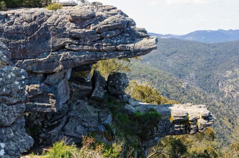 5 Days 4 Nights: Melbourne Package tour - Final Thoughts