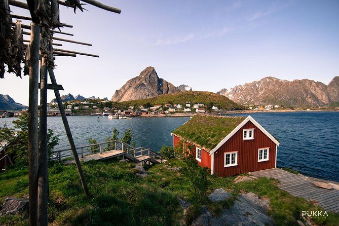 5 Highlights Of Lofoten From Svolvær - The Details of the Tour: What You Can Expect