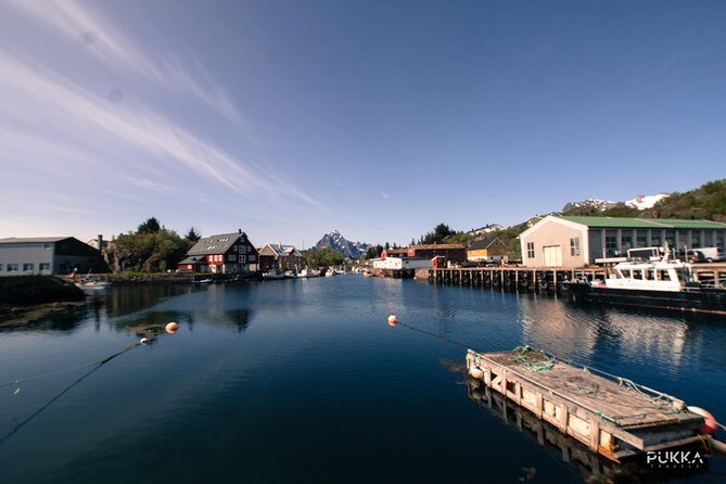5 Highlights Of Lofoten From Svolvær - Who Would Love This Tour?