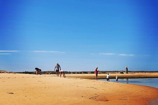 5 Hour Boat Tour in Ria Formosa - The Itinerary — What to Expect