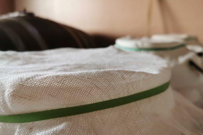 5-Hour Food and Wine Tasting in Modena - Key Points