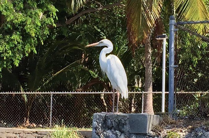 5 Hour Keewaydin Island Beach Tour - Who Is This Tour Best For?